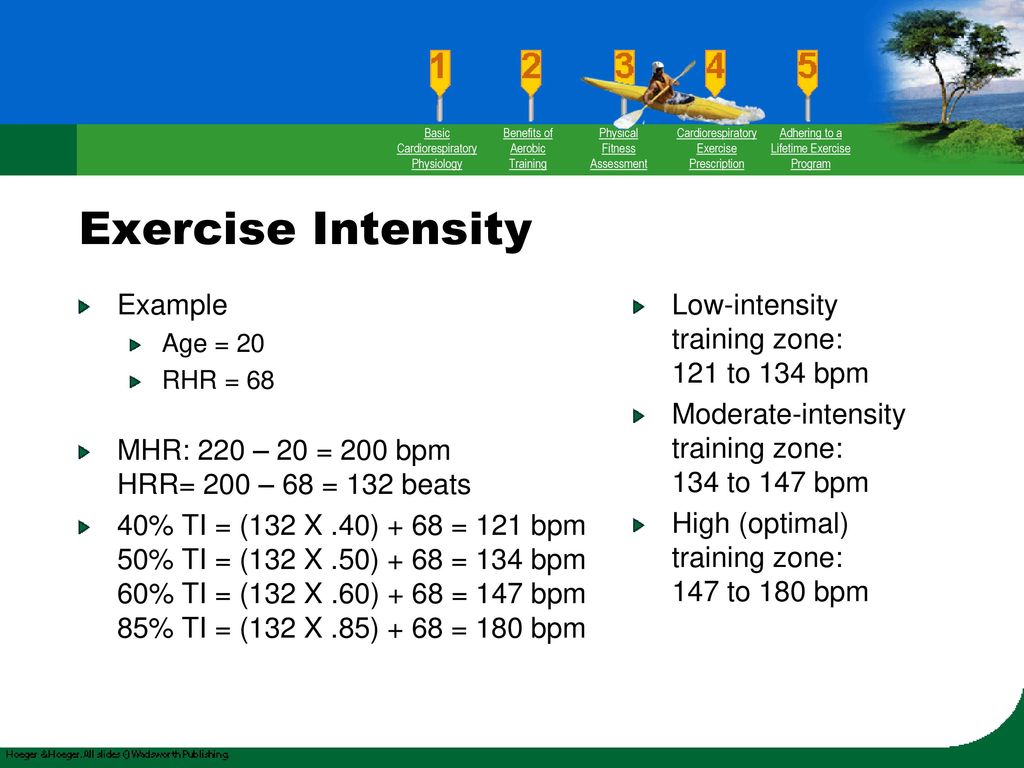 Intensity of 2025 cardiovascular endurance